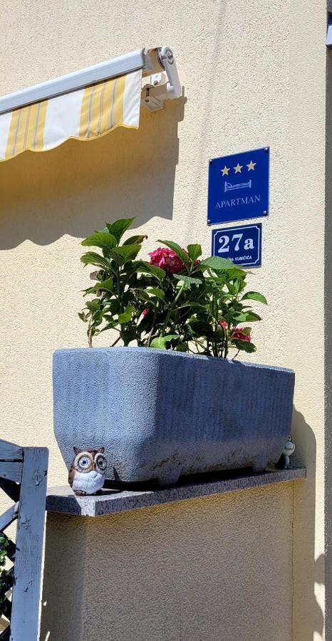 Apartmani Sojka Rovigno Esterno foto