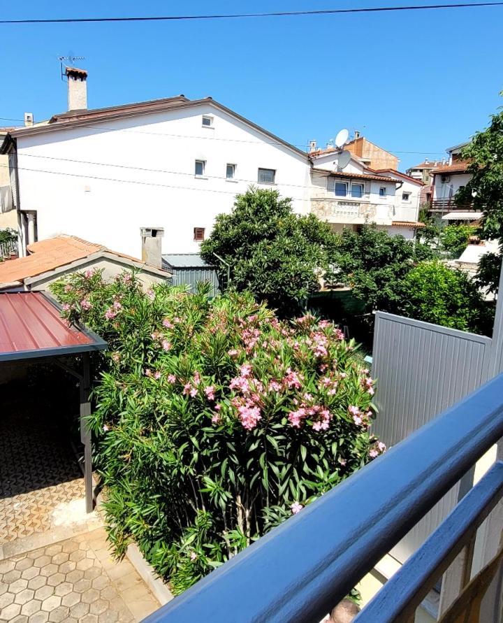 Apartmani Sojka Rovigno Esterno foto
