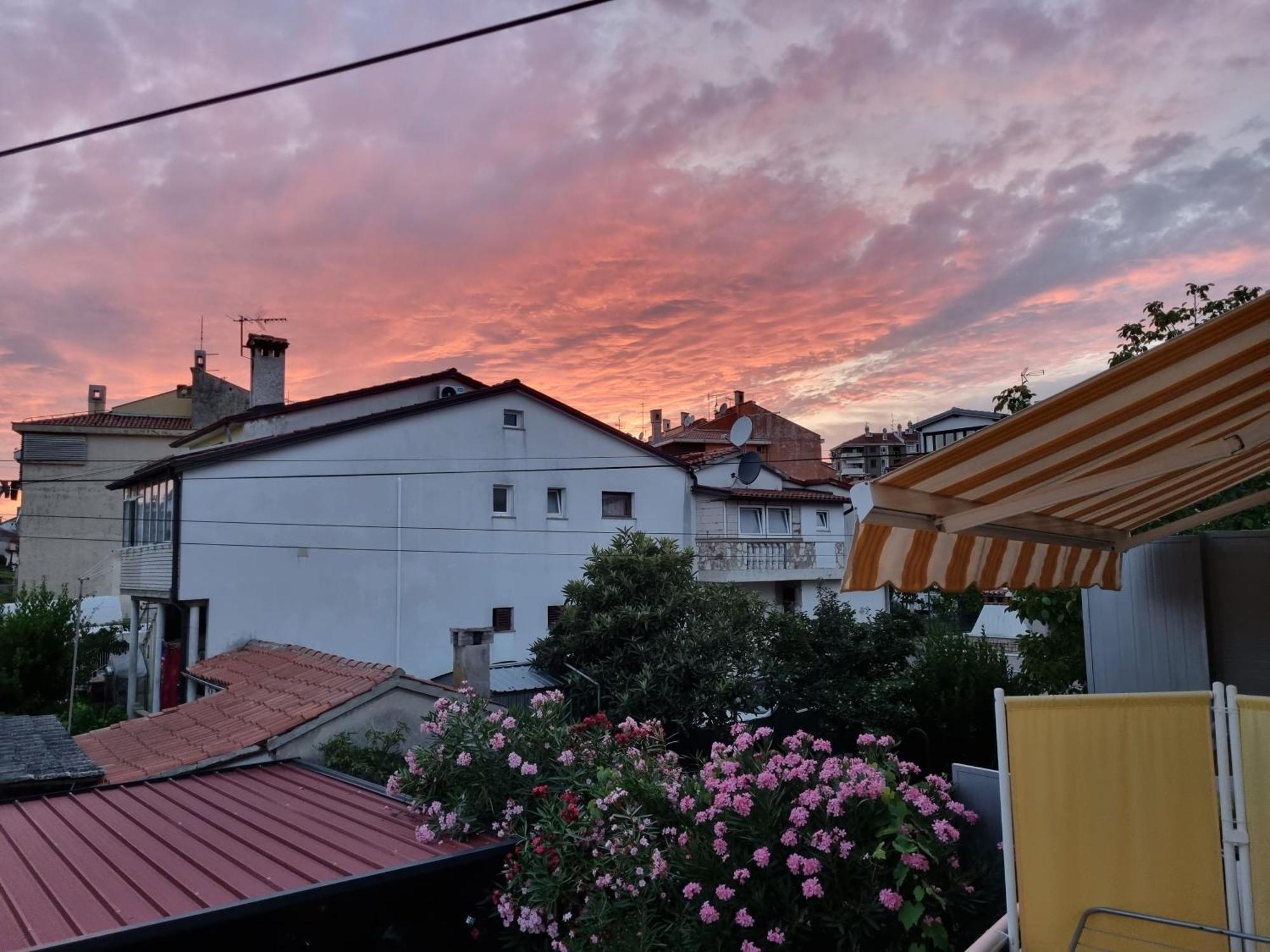 Apartmani Sojka Rovigno Esterno foto
